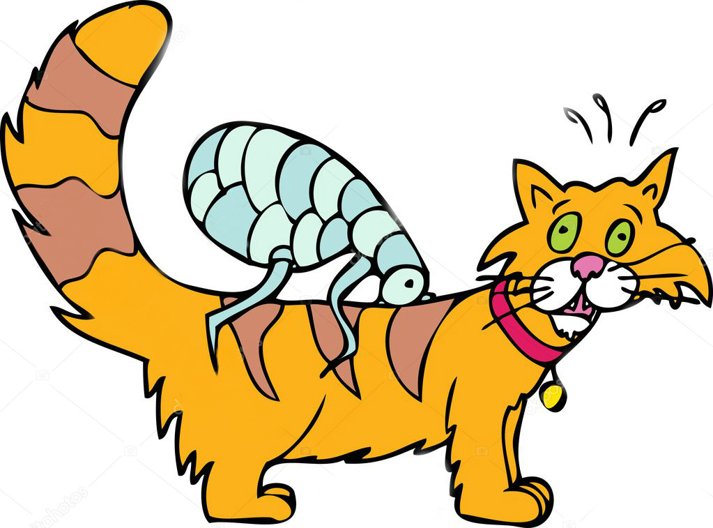 depositphotos_3986329-stock-illustration-cat-has-fleas.jpg