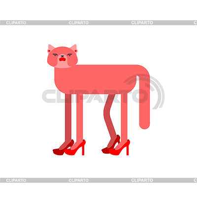 6858617-lady-cat-in-high-heels-pet-in-female-shoes.jpg