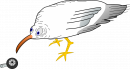Гость