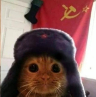 Тень на плетень