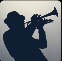 Тень на плетень