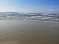 Просто Трёп